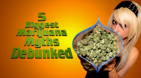 Debunking the 5 Biggest Myths About Cannabis