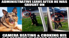 If Cops Treat Their Own Dogs Like This, It is No Wonder They Shoot Everyone Else’s