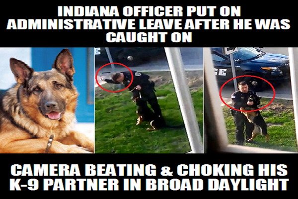 If Cops Treat Their Own Dogs Like This, It is No Wonder They Shoot Everyone Else’s