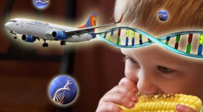 Is there a GMO-chemtrail connection?