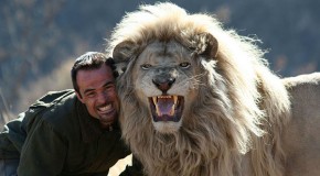 Man Attempts To Hug a Wild Lion. What Happens Next Stunned Me