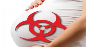 Monsanto’s Darkest Secret: Roundup’s Effect On The Fetus