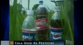 Pepsi and Coca-Cola Used As Pesticide In India Because They’re Cheap and Get The Job Done