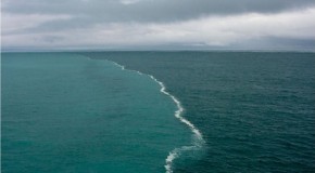 The Place Where Two Oceans Meet’ in the Gulf of Alaska‏