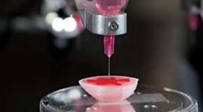 3D Bioprinters Could Make Enhanced, Electricity-Generating ‘Superorgans’