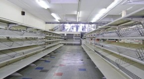 Our food supply: When it’s gone…it’s gone.
