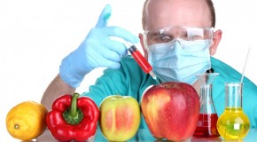 Over 800 world scientists agree: GM crops are nothing short of a bio-war on our food