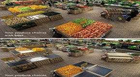 This Is What Your Grocery Store Would Look Like Without Bees