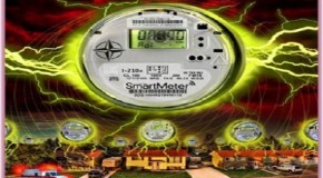 Smart Meter Dangers: The Health Hazards of Wireless Electromagnetic Radiation Exposure