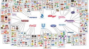 Big Corporations Have An OVERWHELMING Amount Of Power Over Our Food Supply
