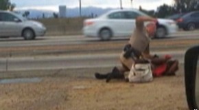 Caught On Camera: CHP Officer Beats The Crap Out of a Woman Beside a Busy Road