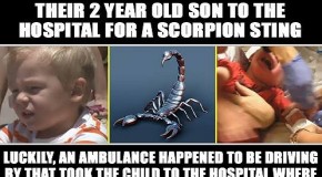 Cop Detains Family as They Rush Their 2-Year-Old Son to the Hospital for a Scorpion Sting