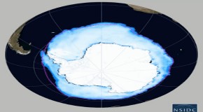 Global warming is creating MORE ice: Antarctic levels reach a record high because of climate change, scientists claim