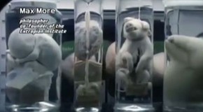 Horrifying Human Animal DNA Experiments – Transhumanism & Hybrids – Mind Blowing Video And Images