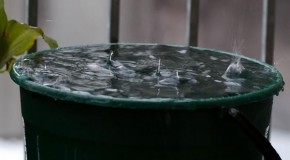 It Begins… US Citizen Goes to Jail for Collecting Rain Water