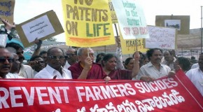 Nearly 300,000 suicides in India so far from GMO crop failures