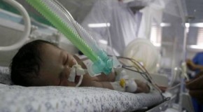 Palestinian baby born after mother’s death dies