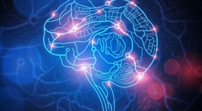 Robots Get Internet Cloud Brain: “Wikipedia For Robots” (Updated)