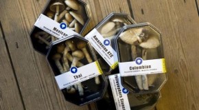 Scientists find how magic mushrooms alter the mind