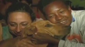 Video: Junkyard Dog Generously Shares Food With Her Animal Friends Every Night
