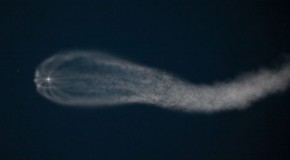 What Created This Beautiful “Sky Jellyfish” in the Upper Atmosphere?