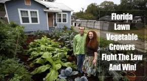 Florida Couple Wins Fight For Front Yard Vegetable Garden!