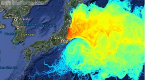 Fukushima Fuel Rod Material All Over Tokyo! Everything in Pacific Dying!