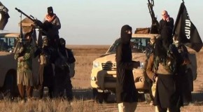 ISIL completely fabricated enemy by US: Former CIA contractor