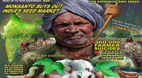 India: Selling Out To MonsantoIndia: Selling Out To Monsanto. GMOs and the Bigger Picture. GMOs and the Bigger Picture