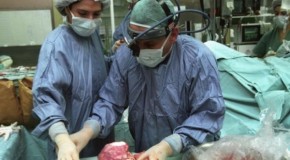 Israelis at forefront of international organ trafficking: Report