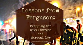 Lessons from Ferguson: Prepping for Civil Unrest and Martial Law