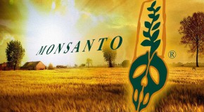 Monsanto Ordered to Pay $93 Million to Small Town for Poisoning Citizens