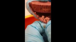 Video: Girl Finds Several Maggots Infesting Her Reese’s Peanut Butter Cup