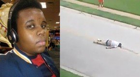 Video: Witnesses Unwittingly Gave Untainted Account of Michael Brown Incident