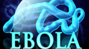 Ebola: one covert op feeds into another
