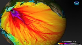 How Badly Is Fukushima Radiation Damaging the Pacific Ocean?