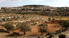 Israel to appropriate 400 hectares in West Bank for ‘state use’