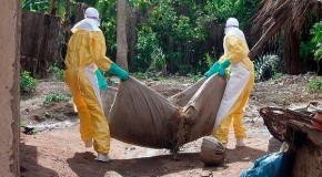 Virologist: ‘It’s Too Late, Ebola Will Kill 5 Million’