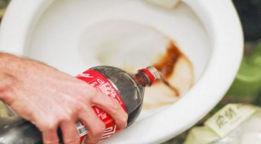 Where Coke Thrives and Belongs – In The Toilet