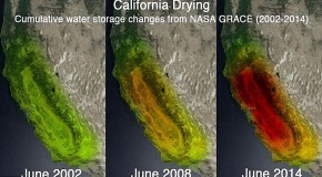 California Drying: Satellite images reveal how record-breaking drought has browned the Golden State