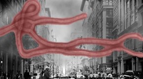 Former FDA Official: Larger Ebola Outbreaks Coming to American Cities