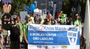 Here We Go Again: Monsanto Spends Millions to Defeat State’s GMO Labeling Effort