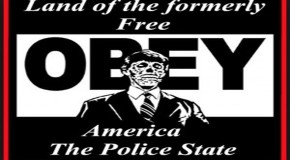 Land of the Free – 1 in 3 Americans Are on File with the FBI in the U.S. Police State