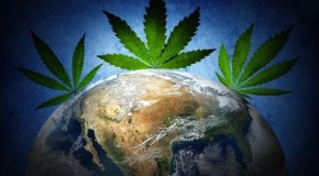Marijuana’s History: How One Plant Spread Through the World