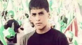 US: Palestinian teenager killed by Israeli forces was American
