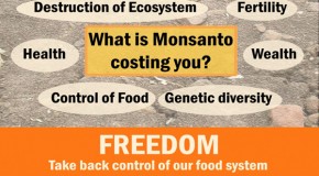 Hey, Monsanto! Were Anniston and Nitro just conspiracy theories too?