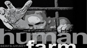 Human Farming: The story of your enslavement