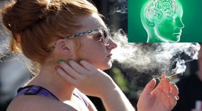 Scientists Found Something Strange When They Looked At The Brains Of Stoners