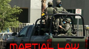 What Does Societal Collapse and Martial Law Look Like?