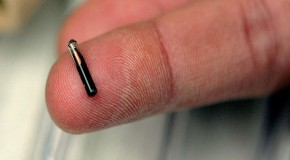 Would you microchip your children?